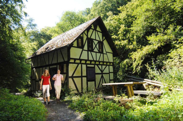 Zwischen dem Hunsrück und der Mosel lädt die Ehrbachklamm zum Wanderspaß für die ganze Familie. Der Weg ist teilweise ins Gestein gehauen, führt über Brücken, vorbei an Felsbrocken und steilen Hängen.